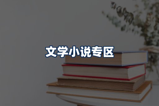 文学小说PDF展示